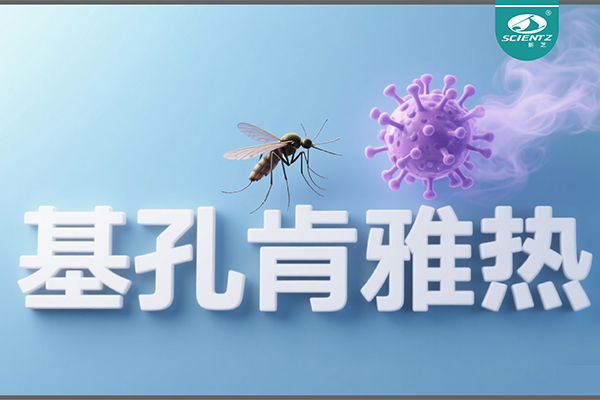基孔肯雅熱疫情升級！新芝生物硬核技術助力病毒精準診斷